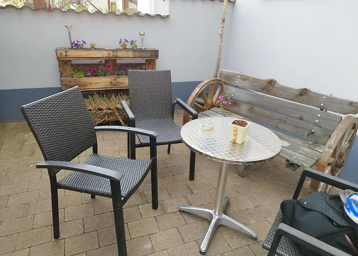FeWo Schwalbennest